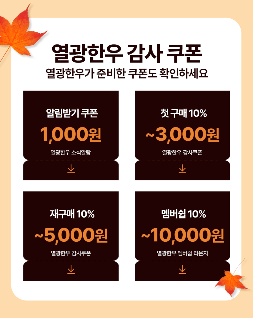 넾다세일 혜택 안내 이미지